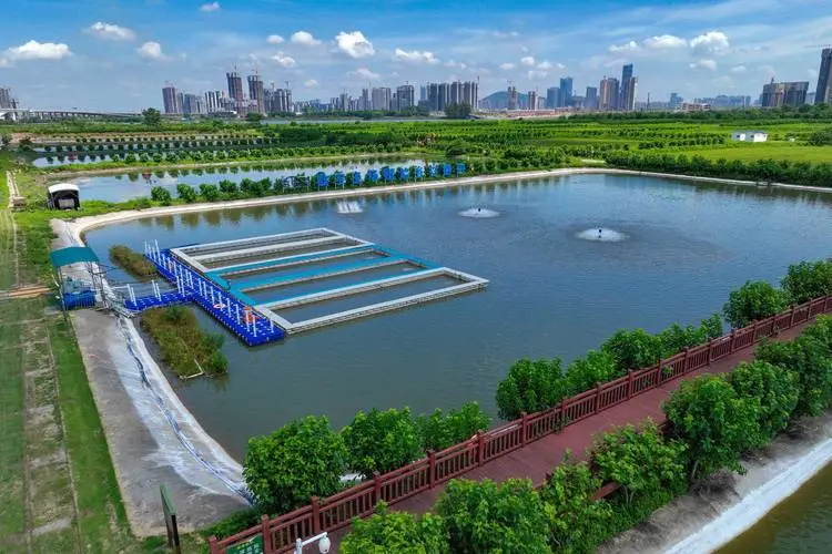 鱼塘、虾塘损失评估